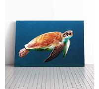 Big Box Art Canvas Print Wall Art Sea Turtle 3 | Mounted and Stretched Box Frame Picture | Home Decor for Kitchen, Living, Dining Room, Bedroom, Hallway, Multi-Colour, 30x20 Inch