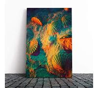 Big Box Art Canvas Print Wall Art Seashell Shell Ocean 3 | Mounted and Stretched Box Frame Picture | Home Decor for Kitchen, Living, Dining Room, Bedroom, Hallway, Multi-Colour, 20x14 Inch