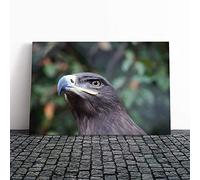 Big Box Art Canvas Print Wall Art Steppe Eagle Bird | Mounted and Stretched Box Frame Picture | Home Decor for Kitchen, Living, Dining Room, Bedroom, Hallway, Multi-Colour, 24x16 Inch