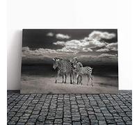 Big Box Art Canvas Print Wall Art Three Zebras in The Wild | Mounted and Stretched Box Frame Picture | Home Decor for Kitchen, Living, Dining Room, Bedroom, Hallway, Multi-Colour, 20x14 Inch