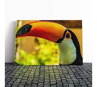 Big Box Art Canvas Print Wall Art Toucan Bird (2) | Mounted and Stretched Box Frame Picture | Home Decor for Kitchen, Living, Dining Room, Bedroom, Hallway, Multi-Colour, 30x20 Inch