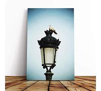 Big Box Art Canvas Print Wall Art Turtledove Collared Dove Pigeon | Mounted and Stretched Box Frame Picture | Home Decor for Kitchen, Living Room, Bedroom, Hallway, Multi-Colour, 24x16 Inch