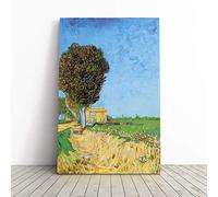 Big Box Art Canvas Print Wall Art Vincent Van Gogh A Lane Near Arles | Mounted & Stretched Box Frame Picture | Home Decor for Kitchen, Living Room, Bedroom, Hallway, Multi-Colour, 20x14 Inch