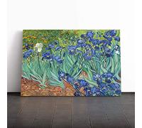 Big Box Art Canvas Print Wall Art Vincent Van Gogh Iris Irises Flowers | Mounted & Stretched Box Frame Picture | Home Decor for Kitchen, Living Room, Bedroom, Hallway, Multi-Colour, 30x20 Inch