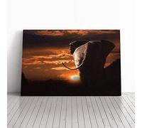 Big Box Art Canvas Print Wall Art Walking Elephant Sunset | Mounted and Stretched Box Frame Picture | Home Decor for Kitchen, Living, Dining Room, Bedroom, Hallway, Multi-Colour, 24x16 Inch