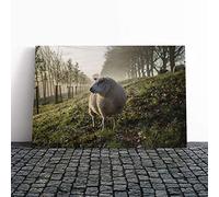 Big Box Art Canvas Print Wall Art Woolly Sheep Landscape | Mounted and Stretched Box Frame Picture | Home Decor for Kitchen, Living, Dining Room, Bedroom, Hallway, Multi-Colour, 20x14 Inch