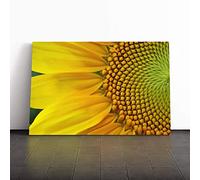 Big Box Art Canvas Print Wall Art Yellow Sunflower Flower (1) | Mounted and Stretched Box Frame Picture | Home Decor for Kitchen, Living, Dining Room, Bedroom, Hallway, Multi-Colour, 24x16 Inch