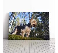 Big Box Art Canvas Print Wall Art Yorkshire Terrier Dog Forest | Mounted and Stretched Box Frame Picture | Home Decor for Kitchen, Living, Dining Room, Bedroom, Hallway, Multi-Colour, 30x20 Inch