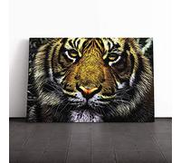 Big Box Art Canvas Print Wall Tiger Art | Mounted and Stretched Box Frame Picture | Home Decor for Kitchen, Living, Dining Room, Bedroom, Hallway, Multi-Colour, 24x16 Inch