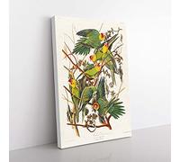 Big Box Art Carolina Parrots by John James Audubon Canvas Wall Art Print Ready to Hang Picture, 76 x 50 cm (30 x 20 Inch), White, Green, Yellow, Cream