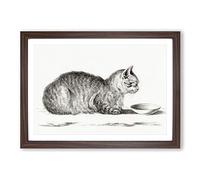Big Box Art Cat by a Bowl by Jean Bernard Framed Wall Art Picture Print Ready to Hang, Walnut A2 (62 x 45 cm)