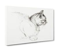 Big Box Art Cat by Jean Bernard Canvas Wall Art Framed Picture Print, 30 x 20 Inch (76 x 50 cm), White, Grey