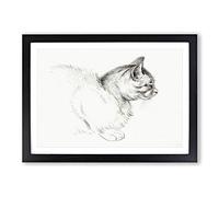 Big Box Art Cat by Jean Bernard Framed Wall Art Picture Print Ready to Hang, Black A2 (62 x 45 cm)