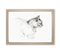 Big Box Art Cat by Jean Bernard Framed Wall Art Picture Print Ready to Hang, Oak A2 (62 x 45 cm)