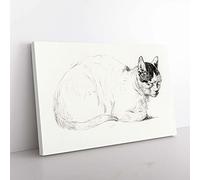 Big Box Art Cat Resting by Jean Bernard Canvas Wall Art Print Ready to Hang Picture, 76 x 50 cm (30 x 20 Inch), White, Grey