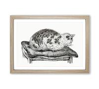 Big Box Art Cat Upon a Cushion by Jean Bernard Framed Wall Art Picture Print Ready to Hang, Oak A2 (62 x 45 cm)