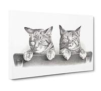 Big Box Art Cats by Thomas Hunter Canvas Wall Art Framed Picture Print, 30 x 20 Inch (76 x 50 cm), White, Grey, Black