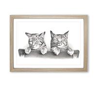 Big Box Art Cats by Thomas Hunter Framed Wall Art Picture Print Ready to Hang, Oak A2 (62 x 45 cm)