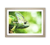 Big Box Art Chameleon Lizard Vol.1 Painting Framed Wall Art Picture Print Ready to Hang, Oak A2 (62 x 45 cm)