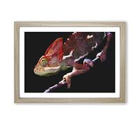 Big Box Art Chameleon Lizard Vol.2 Painting Framed Wall Art Picture Print Ready to Hang, Oak A2 (62 x 45 cm)