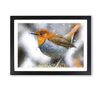 Big Box Art Charming Robin Bird Framed Wall Art Picture Print Ready to Hang, Black A2 (62 x 45 cm)