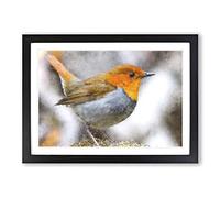 Big Box Art Charming Robin Bird Painting Framed Wall Art Picture Print Ready to Hang, Black A2 (62 x 45 cm)