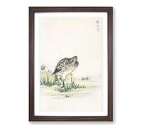 Big Box Art Chinese Little Bittern Bird by Numata Kashu Framed Wall Art Picture Print Ready to Hang, Walnut A2 (62 x 45 cm)