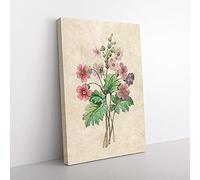 Big Box Art Chinese Primrose Flowers by Pierre-Joseph Redoute Canvas Wall Art Print Ready to Hang Picture, 76 x 50 cm (30 x 20 Inch), Beige, Grey, Green, Purple