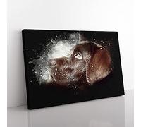 Big Box Art Chocolate Labrador Portrait Paint Splash Canvas Wall Art Print Ready to Hang Picture, 76 x 50 cm (30 x 20 Inch), White, Grey, Brown