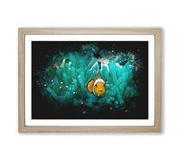 Big Box Art Clownfish & Sea Anemone Abstract Paint Splash Framed Wall Art Picture Print Ready to Hang, Oak A2 (62 x 45 cm)