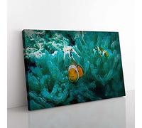 Big Box Art Clownfish & Sea Anemone in Abstract Canvas Wall Art Print Ready to Hang Picture, 76 x 50 cm (30 x 20 Inch), Green, Teal