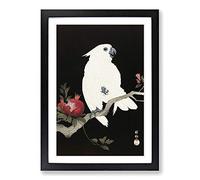 Big Box Art Cockatoo & Pomegranate by Ohara Koson Framed Wall Art Picture Print Ready to Hang, Black A2 (62 x 45 cm)