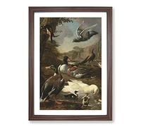 Big Box Art Collection of Birds Vol.2 by Melchior D'Hondecoeter Framed Wall Art Picture Print Ready to Hang, Walnut A2 (62 x 45 cm)