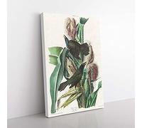 Big Box Art Common Crow Blackbird by John James Audubon Canvas Wall Art Print Ready to Hang Picture, 76 x 50 cm (30 x 20 Inch), White, Grey, Beige, Green, Brown