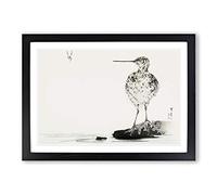 Big Box Art Common Snipe Bird by Watanabe Seitei Framed Wall Art Picture Print Ready to Hang, Black A2 (62 x 45 cm)