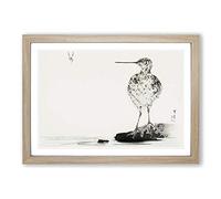 Big Box Art Common Snipe Bird by Watanabe Seitei Framed Wall Art Picture Print Ready to Hang, Oak A2 (62 x 45 cm)