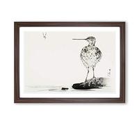 Big Box Art Common Snipe Bird by Watanabe Seitei Framed Wall Art Picture Print Ready to Hang, Walnut A2 (62 x 45 cm)