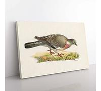 Big Box Art Common Wood Pigeon by Von Wright Canvas Wall Art Print Ready to Hang Picture, 76 x 50 cm (30 x 20 Inch), White, Grey, Gold, Green, Brown
