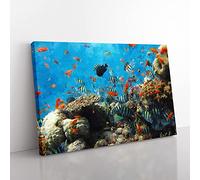 Big Box Art Coral Reef and Fish Vol.2 Painting Canvas Wall Art Print Ready to Hang Picture, 76 x 50 cm (30 x 20 Inch), Turquoise, Black, Green
