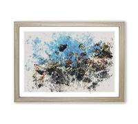 Big Box Art Coral Reef and Fish Vol.2 Watercolour Framed Wall Art Picture Print Ready to Hang, Oak A2 (62 x 45 cm)