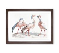 Big Box Art Crane Birds by Johan Teyler Framed Wall Art Picture Print Ready to Hang, Walnut A2 (62 x 45 cm)