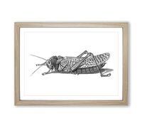 Big Box Art Cricket in Black & White by George Shaw Framed Wall Art Picture Print Ready to Hang, Oak A2 (62 x 45 cm)