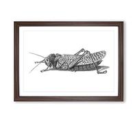 Big Box Art Cricket in Black & White by George Shaw Framed Wall Art Picture Print Ready to Hang, Walnut A2 (62 x 45 cm)