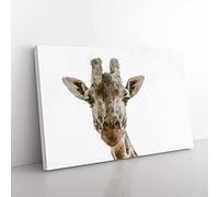 Big Box Art Curious Giraffe Painting Canvas Wall Art Print Ready to Hang Picture, 76 x 50 cm (30 x 20 Inch), White, Grey, Olive, Green