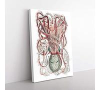 Big Box Art Cuttlefish by George Shaw Canvas Wall Art Print Ready to Hang Picture, 76 x 50 cm (30 x 20 Inch), White, Grey, Brown