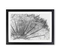 Big Box Art Dandelion Seed Sketch in Abstract Framed Wall Art Picture Print Ready to Hang, Black A2 (62 x 45 cm)