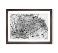Big Box Art Dandelion Seed Sketch in Abstract Framed Wall Art Picture Print Ready to Hang, Walnut A2 (62 x 45 cm)