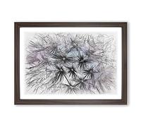 Big Box Art Dandelion Seeds in Blue & Pink Sketch Framed Wall Art Picture Print Ready to Hang, Walnut A2 (62 x 45 cm)