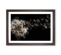 Big Box Art Dandelion Seeds in Flight in Abstract Framed Wall Art Picture Print Ready to Hang, Walnut A2 (62 x 45 cm)