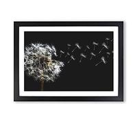 Big Box Art Dandelion Seeds Vol.10 Painting Framed Wall Art Picture Print Ready to Hang, Black A2 (62 x 45 cm)